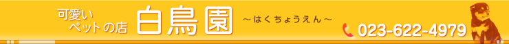 ybg̓X@
TEL 023-622-4979